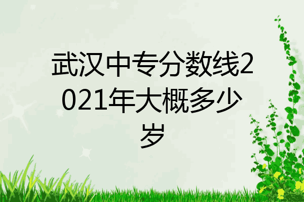 武汉中专分数线2021年大概多少岁