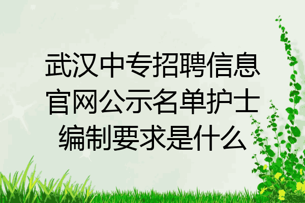 武汉中专招聘信息官网公示名单护士编制要求是什么
