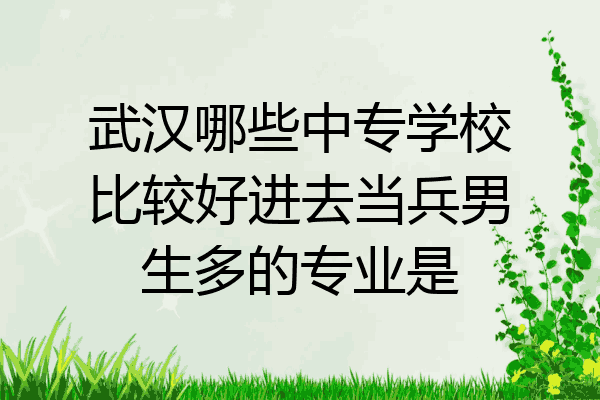 武汉哪些中专学校比较好进去当兵男生多的专业是