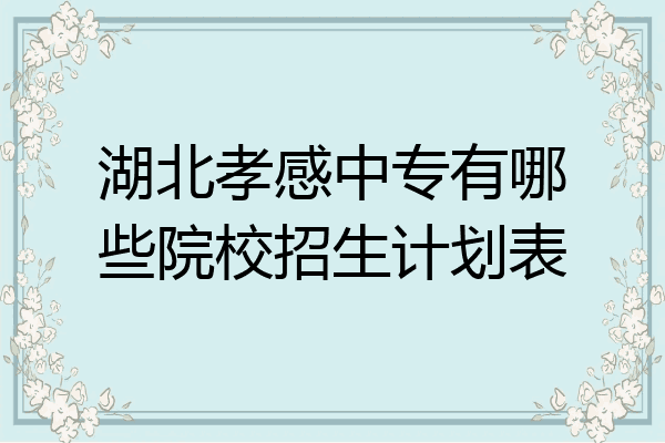 湖北孝感中专有哪些院校招生计划表