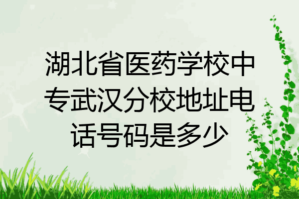 湖北省医药学校中专武汉分校地址电话号码是多少