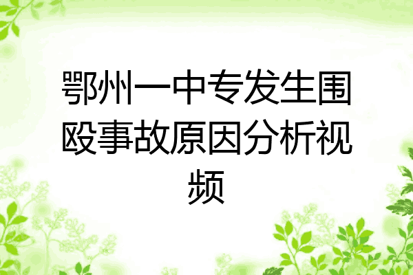 鄂州一中专发生围殴事故原因分析视频