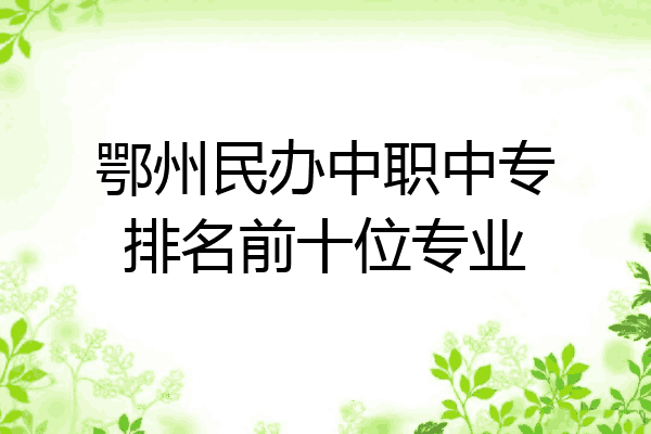 鄂州民办中职中专排名前十位专业