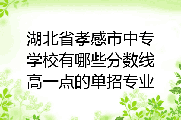 湖北省孝感市中专学校有哪些分数线高一点的单招专业