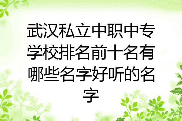 武汉私立中职中专学校排名前十名有哪些名字好听的名字