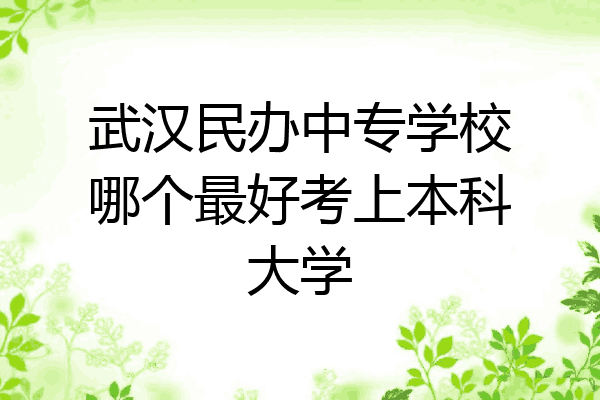 武汉民办中专学校哪个最好考上本科大学
