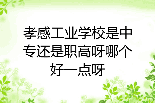孝感工业学校是中专还是职高呀哪个好一点呀