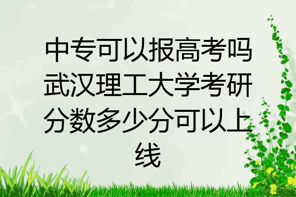 中专可以报高考吗武汉理工大学考研分数多少分可以上线