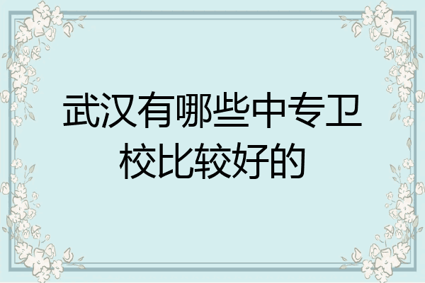 武汉有哪些中专卫校比较好的