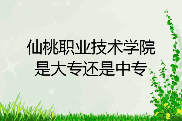 仙桃职业技术学院是大专还是中专