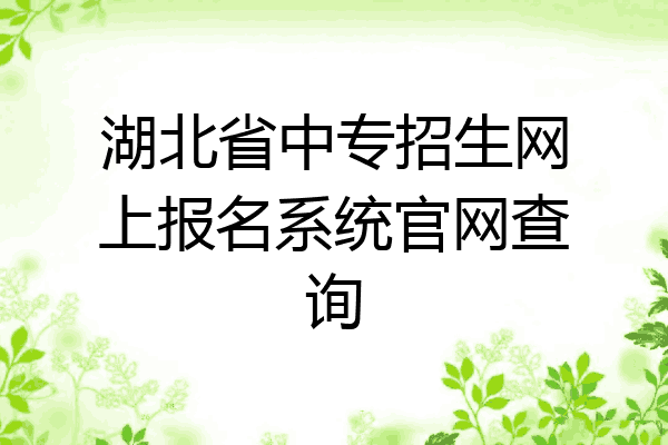 湖北省中专招生网上报名系统官网查询