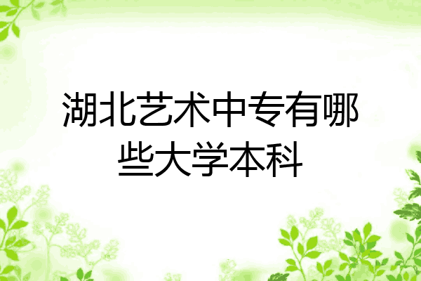 湖北艺术中专有哪些大学本科