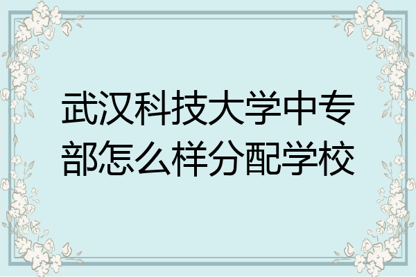 武汉科技大学中专部怎么样分配学校