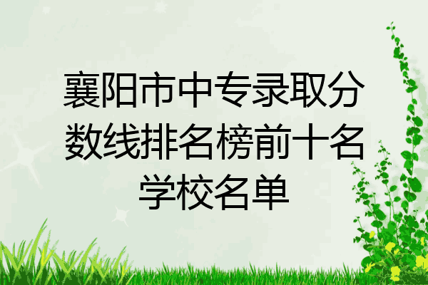 襄阳市中专录取分数线排名榜前十名学校名单