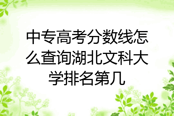 中专高考分数线怎么查询湖北文科大学排名第几