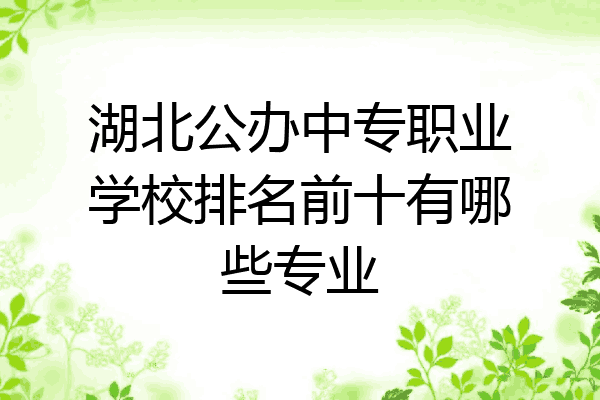 湖北公办中专职业学校排名前十有哪些专业