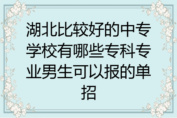 湖北比较好的中专学校有哪些专科专业男生可以报的单招