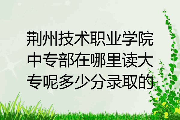 荆州技术职业学院中专部在哪里读大专呢多少分录取的