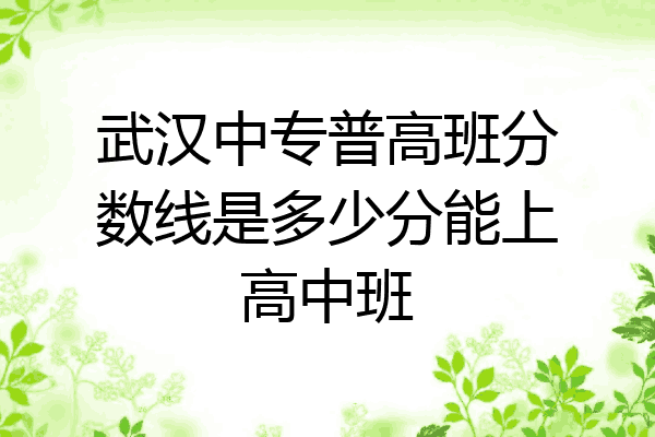 武汉中专普高班分数线是多少分能上高中班