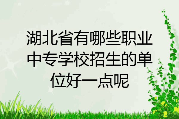 湖北省有哪些职业中专学校招生的单位好一点呢