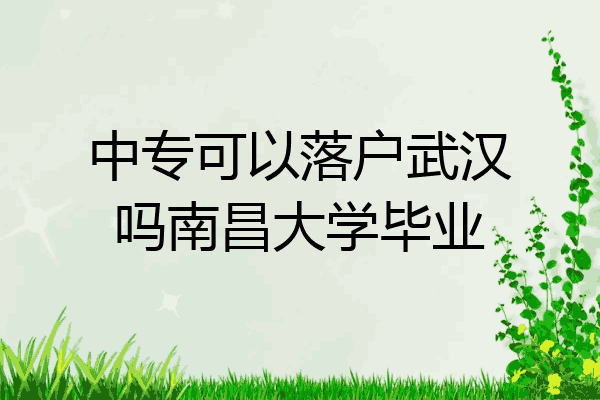 中专可以落户武汉吗南昌大学毕业