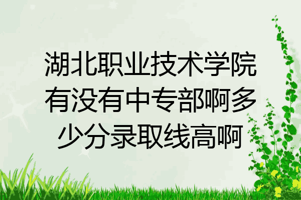 湖北职业技术学院有没有中专部啊多少分录取线高啊
