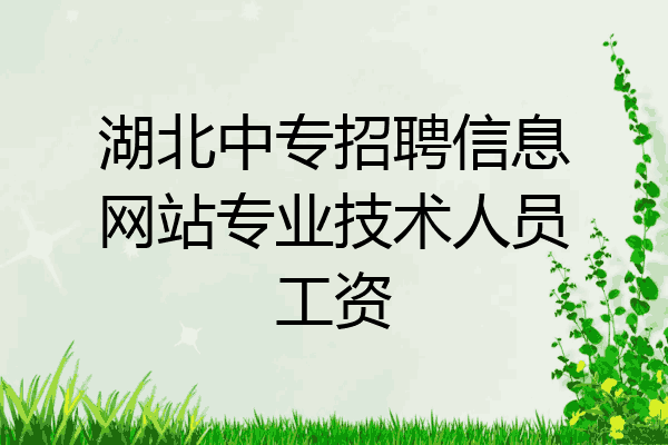湖北中专招聘信息网站专业技术人员工资