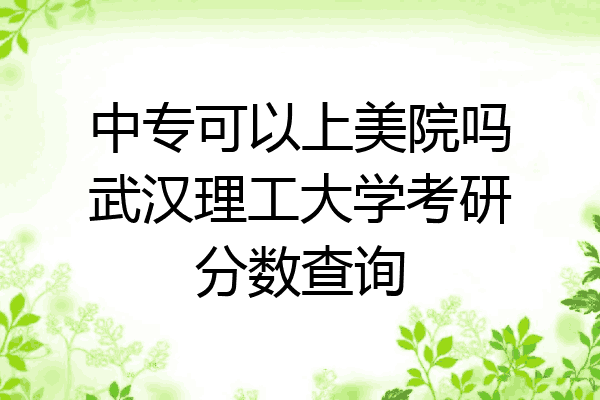 中专可以上美院吗武汉理工大学考研分数查询