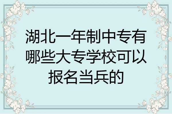 湖北一年制中专有哪些大专学校可以报名当兵的