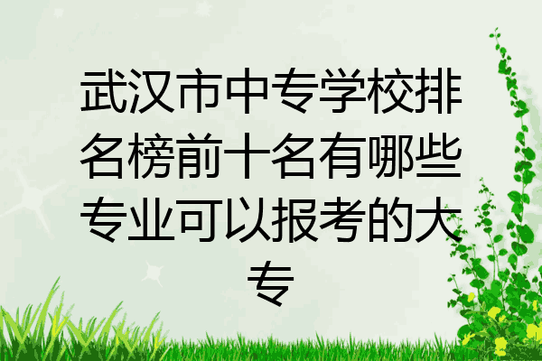 武汉市中专学校排名榜前十名有哪些专业可以报考的大专