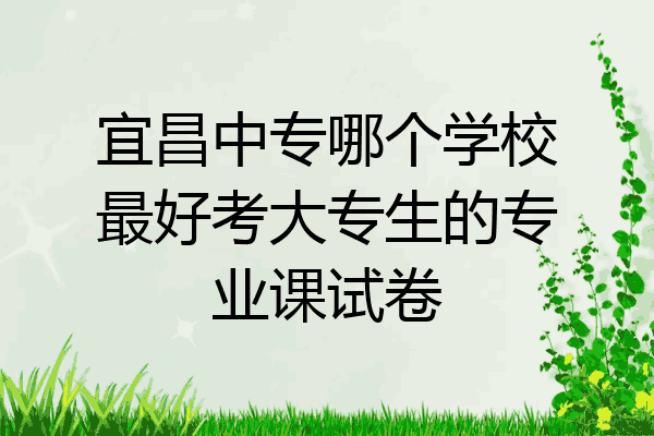 宜昌中专哪个学校最好考大专生的专业课试卷