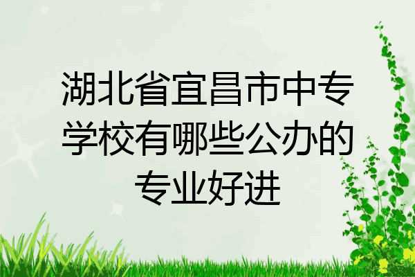湖北省宜昌市中专学校有哪些公办的专业好进