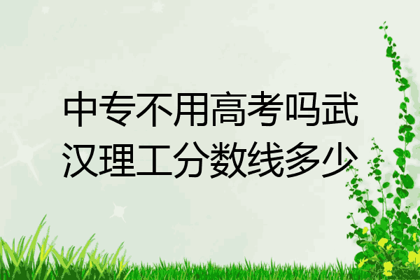 中专不用高考吗武汉理工分数线多少