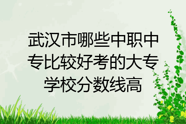 武汉市哪些中职中专比较好考的大专学校分数线高
