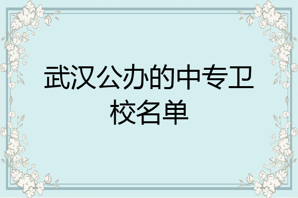 武汉公办的中专卫校名单