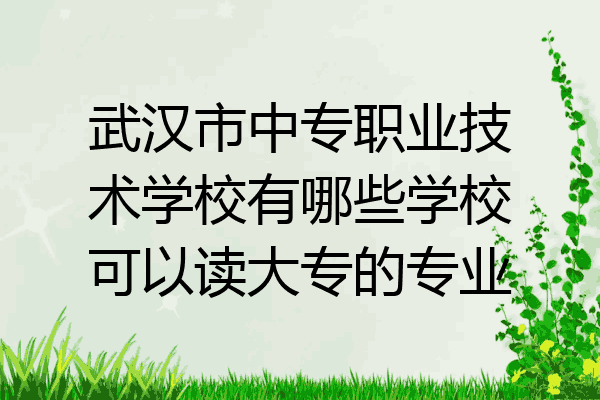 武汉市中专职业技术学校有哪些学校可以读大专的专业