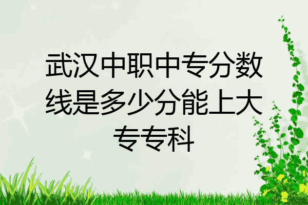武汉中职中专分数线是多少分能上大专专科
