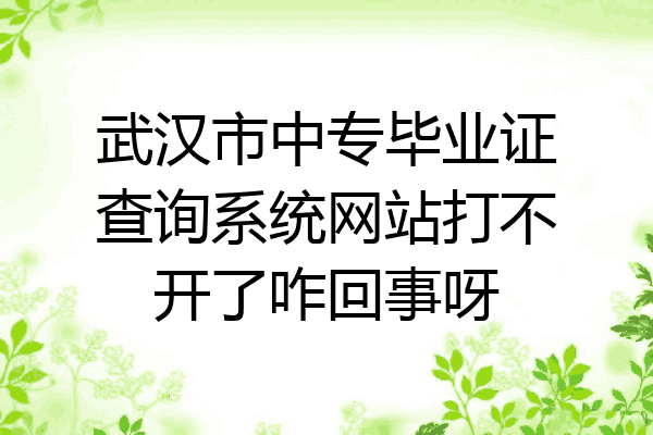 武汉市中专毕业证查询系统网站打不开了咋回事呀