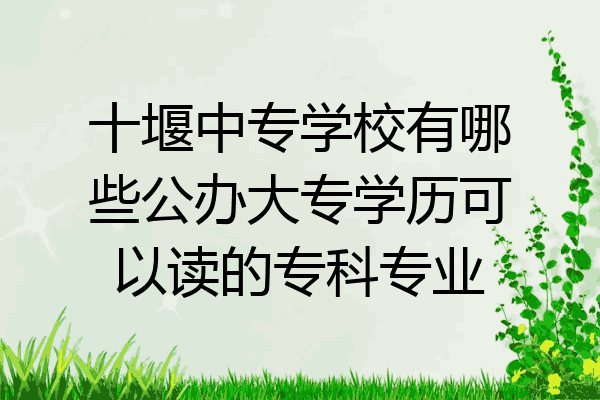 十堰中专学校有哪些公办大专学历可以读的专科专业