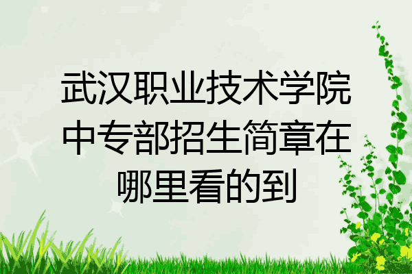 武汉职业技术学院中专部招生简章在哪里看的到