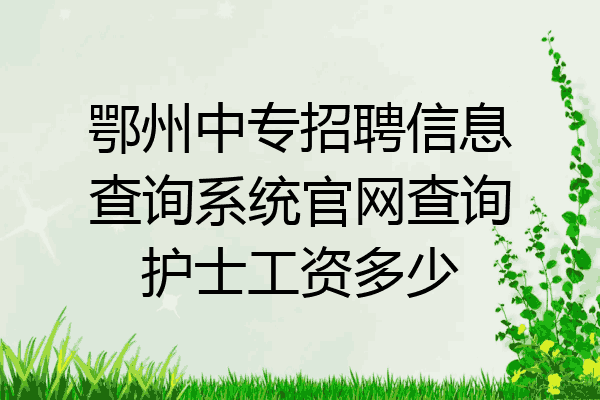鄂州中专招聘信息查询系统官网查询护士工资多少