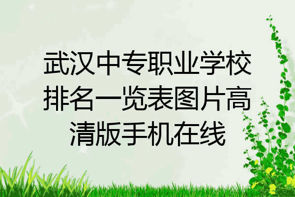 武汉中专职业学校排名一览表图片高清版手机在线