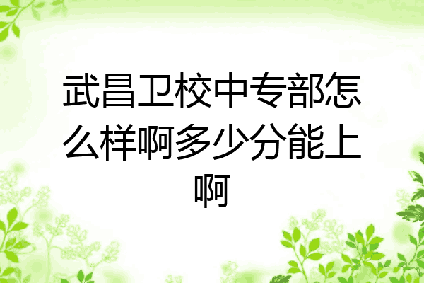 武昌卫校中专部怎么样啊多少分能上啊
