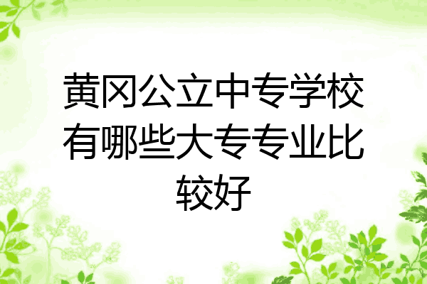 黄冈公立中专学校有哪些大专专业比较好