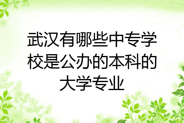 武汉有哪些中专学校是公办的本科的大学专业