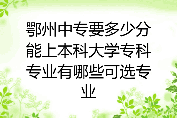 鄂州中专要多少分能上本科大学专科专业有哪些可选专业