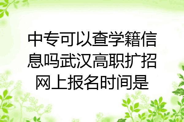 中专可以查学籍信息吗武汉高职扩招网上报名时间是