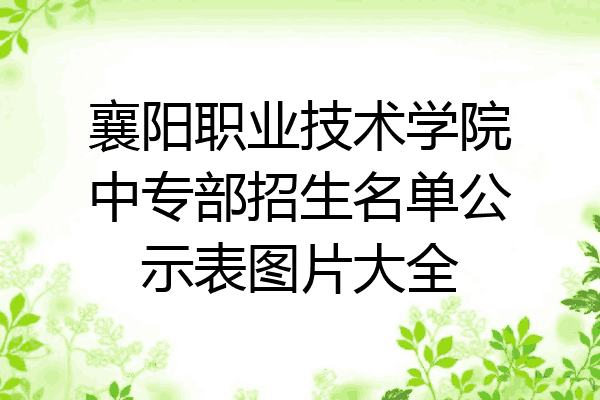 襄阳职业技术学院中专部招生名单公示表图片大全