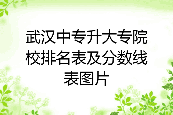 武汉中专升大专院校排名表及分数线表图片