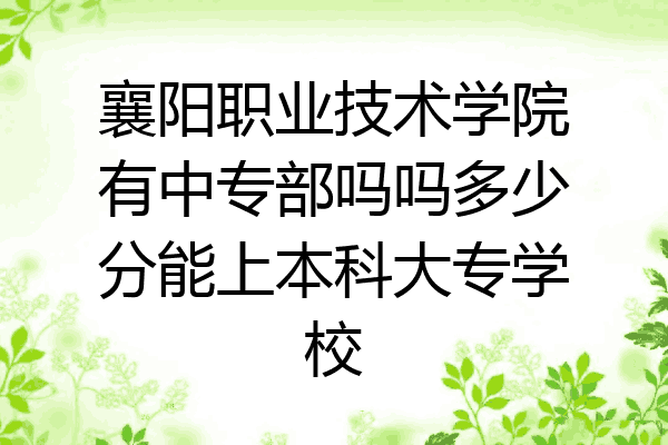 襄阳职业技术学院有中专部吗吗多少分能上本科大专学校